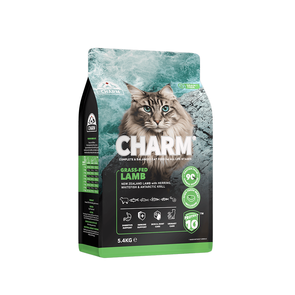 Charm - Cat - Lamb