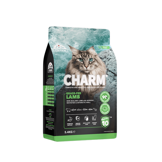 Charm - Cat - Lamb