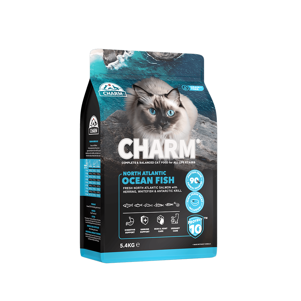 Charm - Cat - Northern Atlantic Ocean Fish