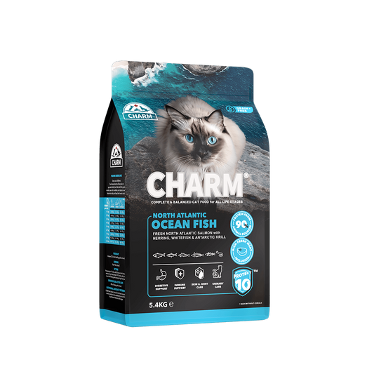Charm - Cat - Northern Atlantic Ocean Fish