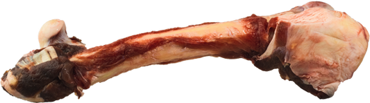 K9 Choice - Whole Kangaroo Leg