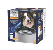 Zeus - Oasis Plus - 6L Dog Smart Fountain