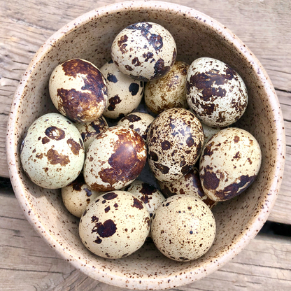 Big Country Raw - Quail Eggs