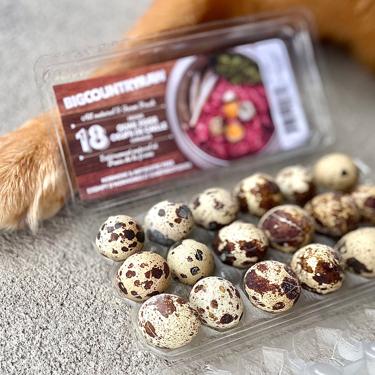 Big Country Raw - Quail Eggs