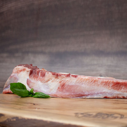 Big Country Raw- Large Flat Rib Bone