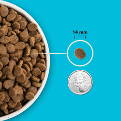 Acana - Dog - Highest Protein - Pacifica