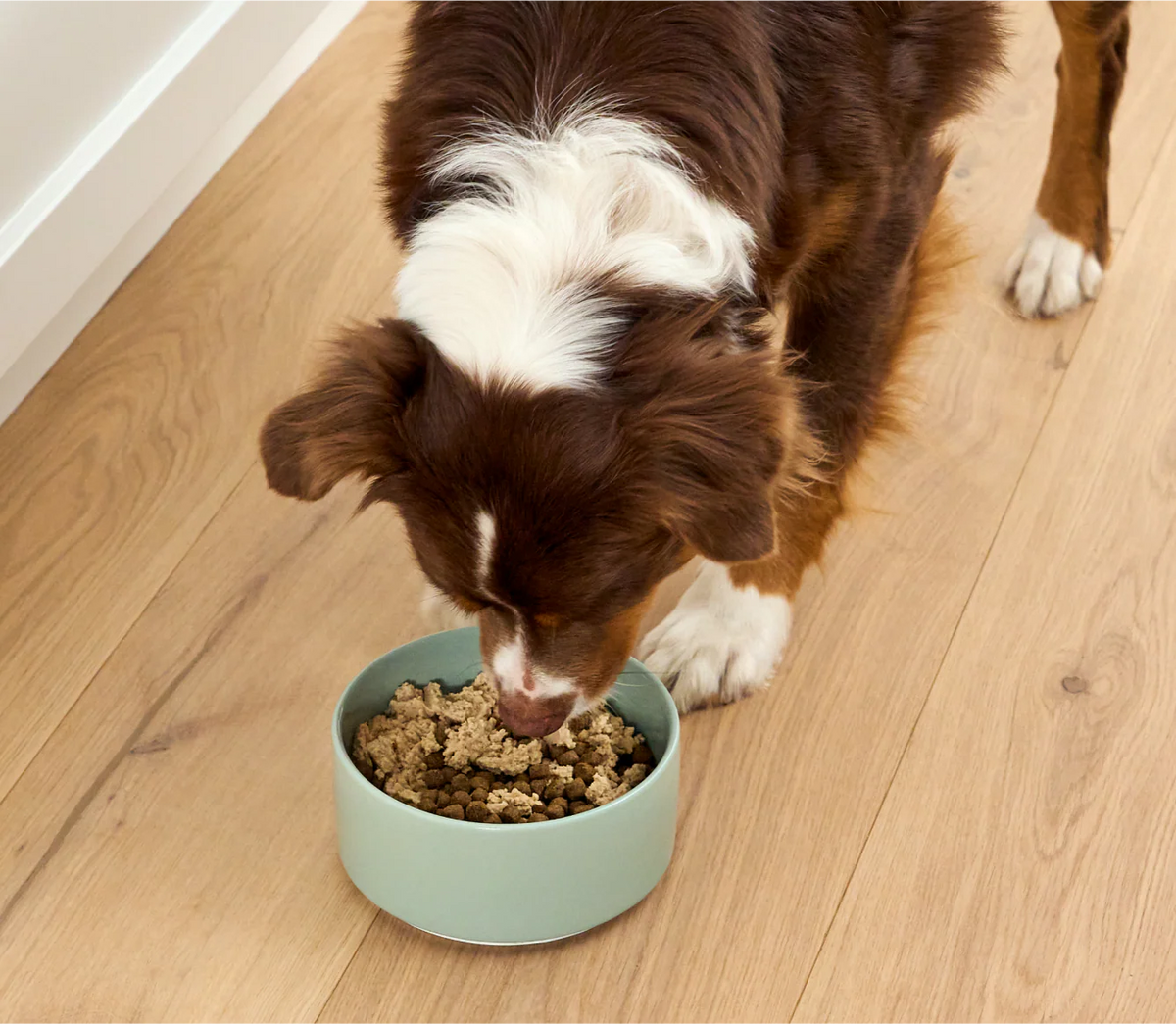Open Farm - Salmon - Dog Meal Topper