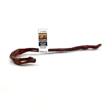 Puppy Love - Beef Jr Cane