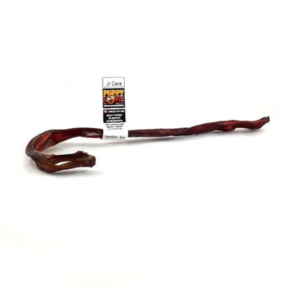 Puppy Love - Beef Jr Cane