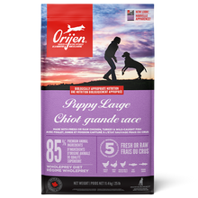 Orijen - Large Breed Puppy