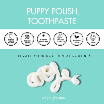 Wag & Bright- Natural Canine Toothpaste - Filet Mignon