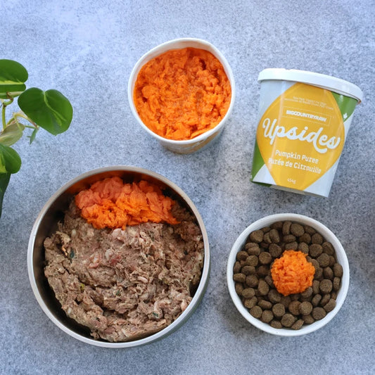 Upsides - Pumpkin Puree - Meal Topper