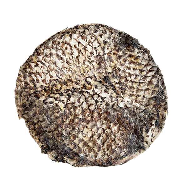 Open Range - Tilapia Furs-Bee
