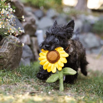 Play - Sassy Sunflower - Dog Toy
