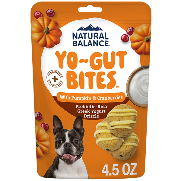 Natural Balance Yo~Gut - Pumpkin & Cranberries - Dog Treat
