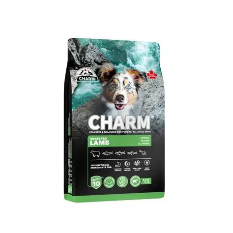 Charm - Dog - Lamb