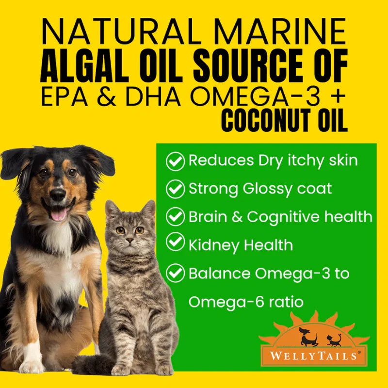 Welly Tails - Algal Oil for Cats & Dogs - 400 ml