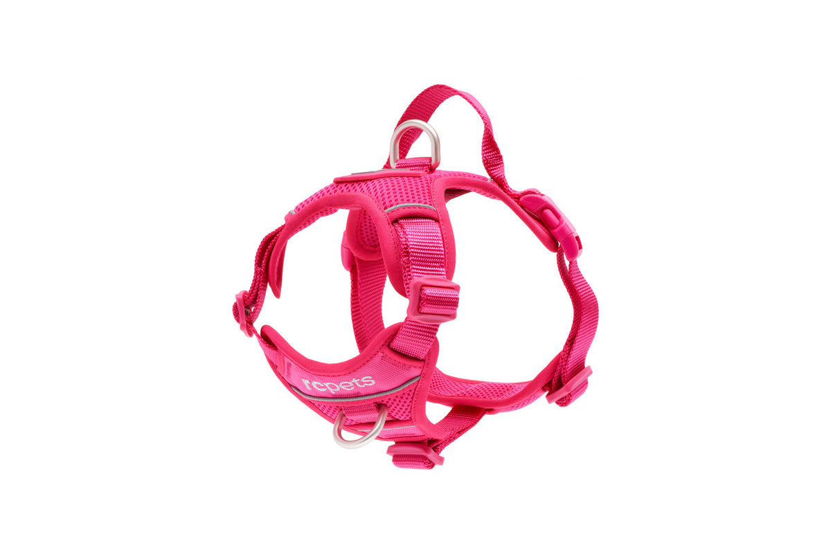RC Pets - Momentum Control Harness