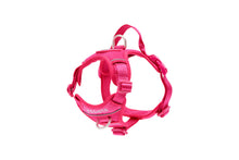 RC Pets - Momentum Control Harness