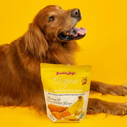 Grandma Lucy's - Organic Banana & Sweet Potato Cookies