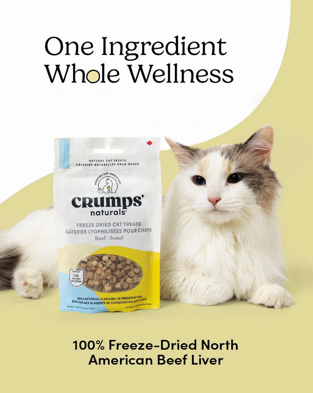 Crumps - Cat Freeze Dried Beef