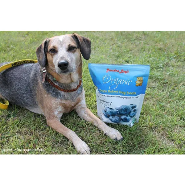 Grandma Lucy - Organic Blueberry Baked Treats