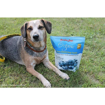 Grandma Lucy - Organic Blueberry Baked Treats