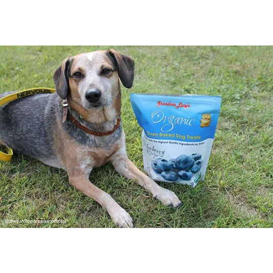 Grandma Lucy - Organic Blueberry Baked Treats