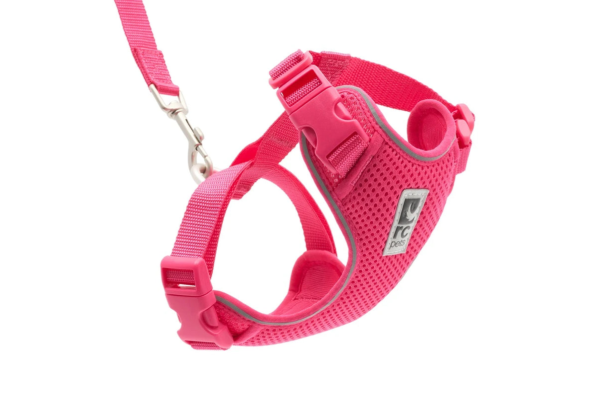 RC Pets - Adventure Kitty Harness