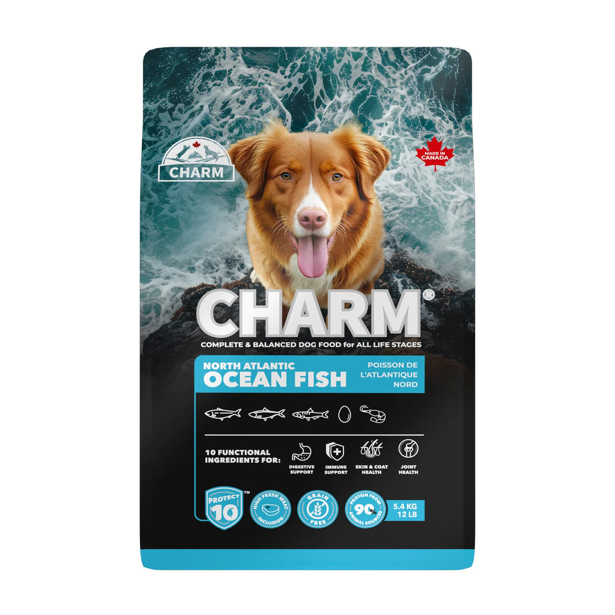 Charm - Dog - North Atlantic Ocean Fish