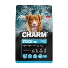 Charm - Dog - North Atlantic Ocean Fish