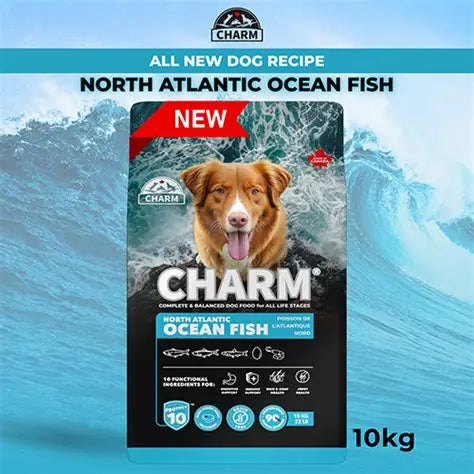 Charm - Dog - North Atlantic Ocean Fish
