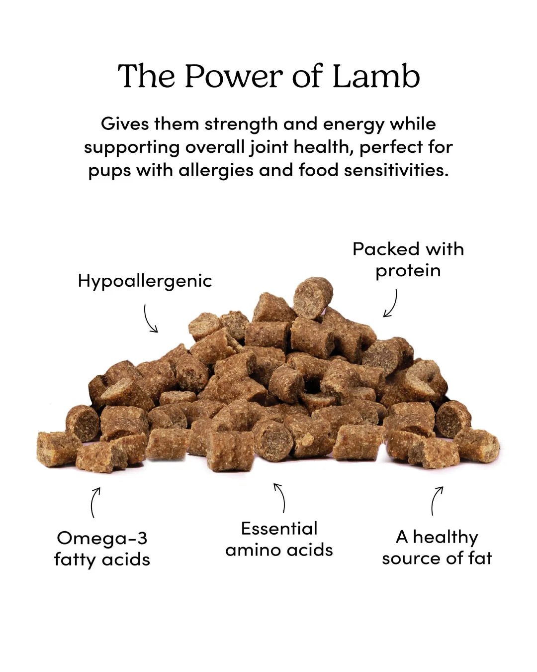 Crumps - Mini Trainers Semi-Moist Lamb