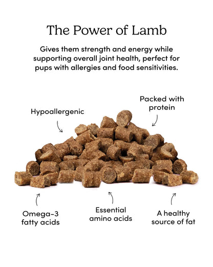 Crumps - Mini Trainers Semi-Moist Lamb