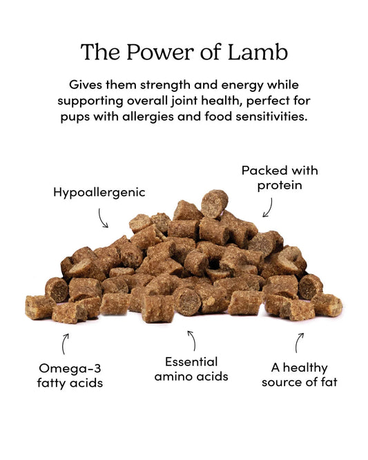 Crumps - Mini Trainers Semi-Moist Lamb