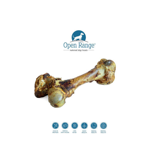 Open Range - Cured Dino Bone