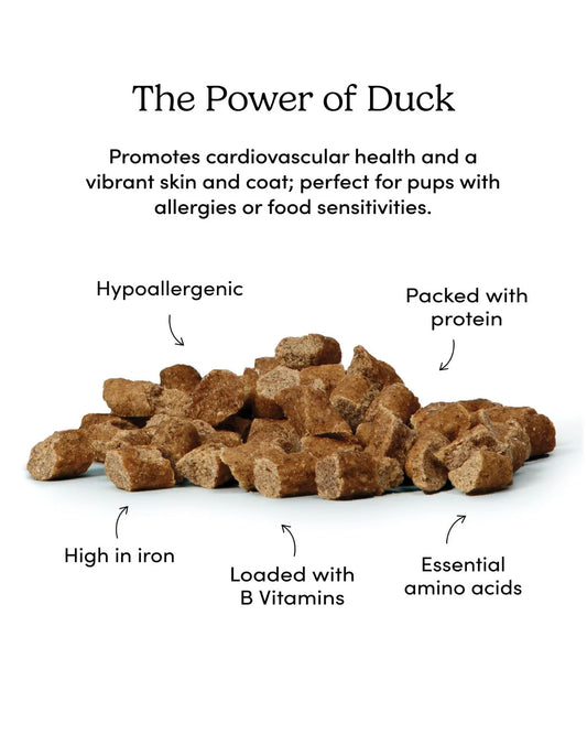 Crumps - Dog Mini Trainers Semi-Moist Duck