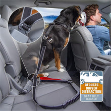Kurgo - Seatbelt Buckle