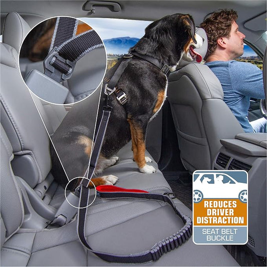 Kurgo - Seatbelt Buckle