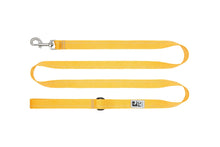 RC Pets - Primary Leash