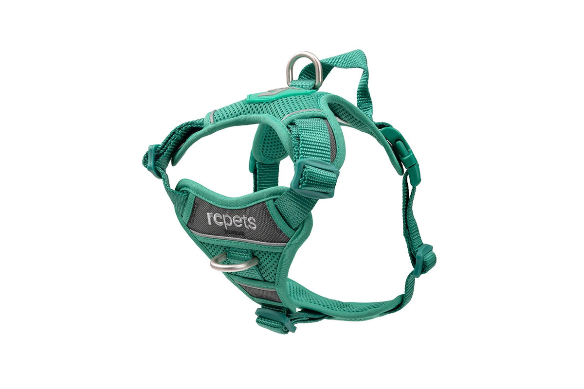 RC Pets - Momentum Control Harness