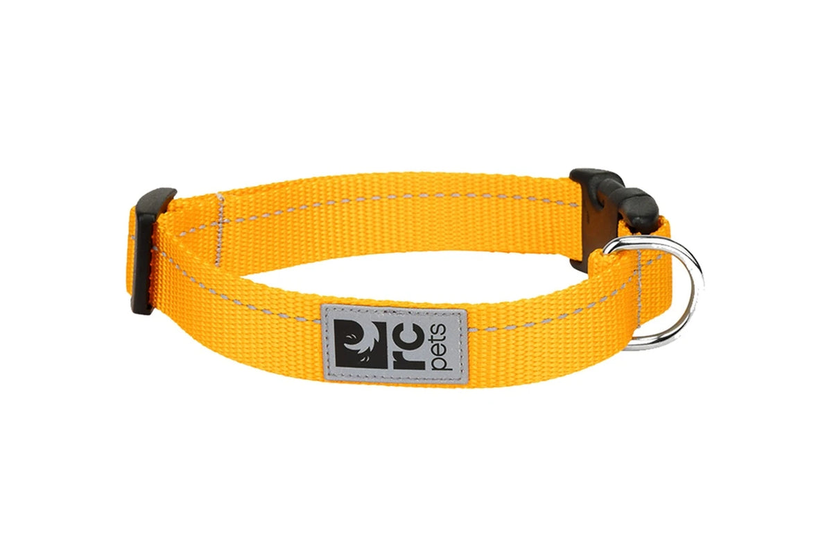 RC Pets - Primary Clip Collar