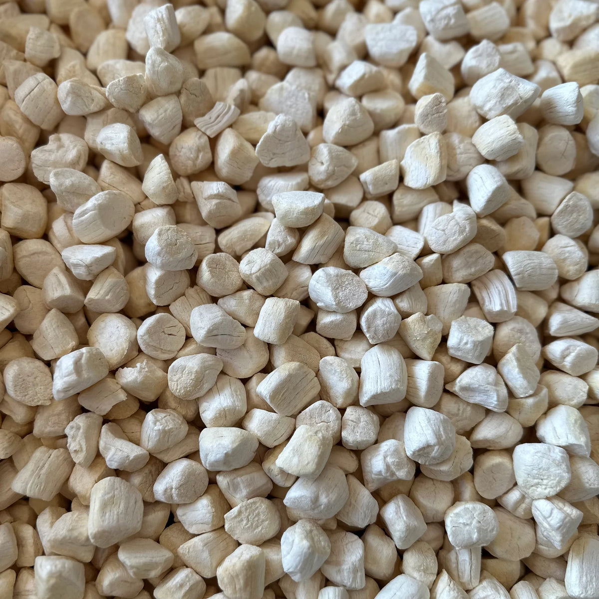Happy Daisy - Freeze Dried Scallops