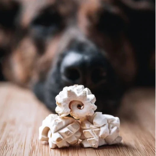 Happy Daisy - Freeze Dried Squid