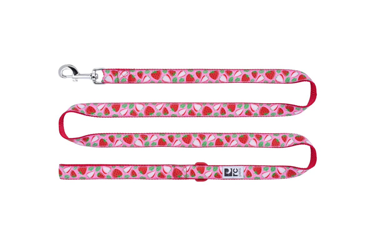 RC Pets - Patterned Dog Leash