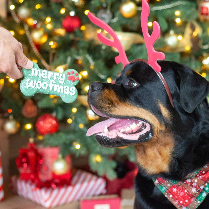 Bosco & Roxy - Merry Woofmas Bone